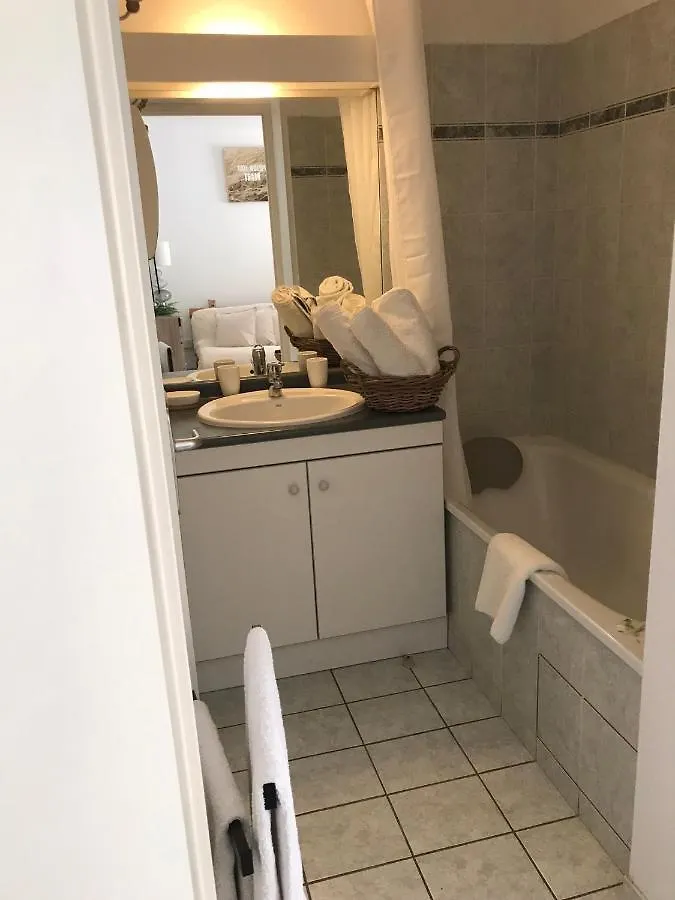 Apartamento T2 Climatise Jardin & Court De Tennis/Piscine /Parking/Fibre Toulouse